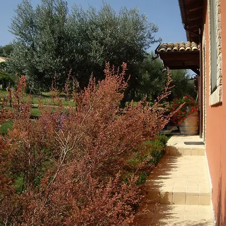Agriturismo Il Borgo Degli Ulivi-3